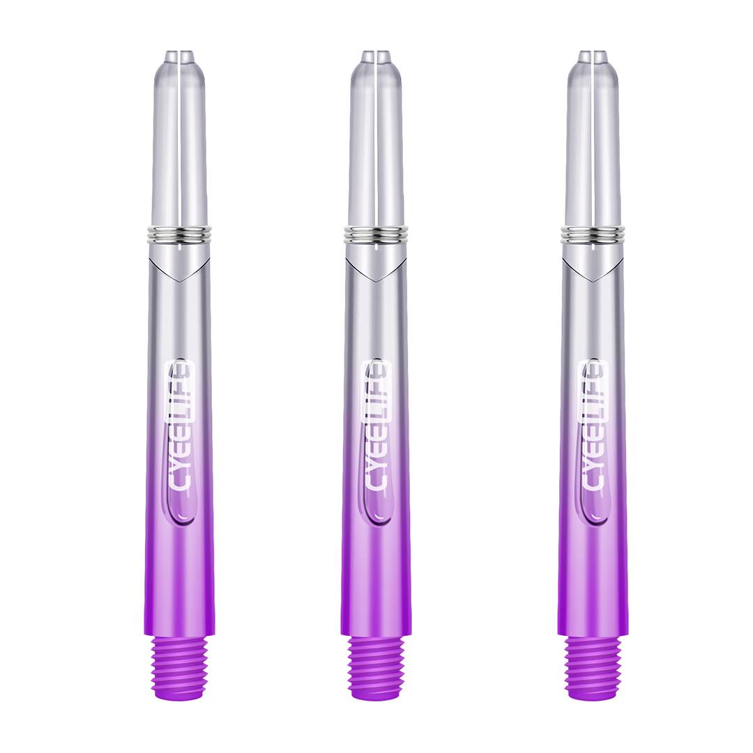 Purple Gradient-3 Bin