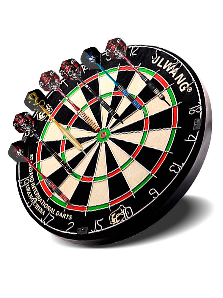 Jianli Wangfei Dart Dart Dart Set Room Professional Rounds Sword Maid Training Competition Special Flying Standard target disk