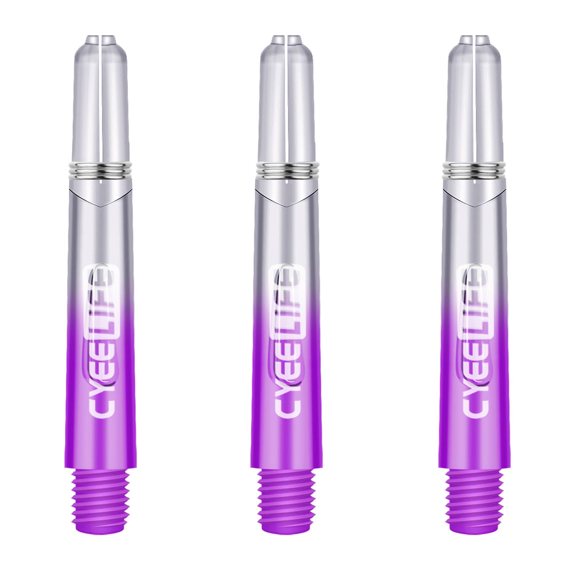 Purple Gradient-3 Bin