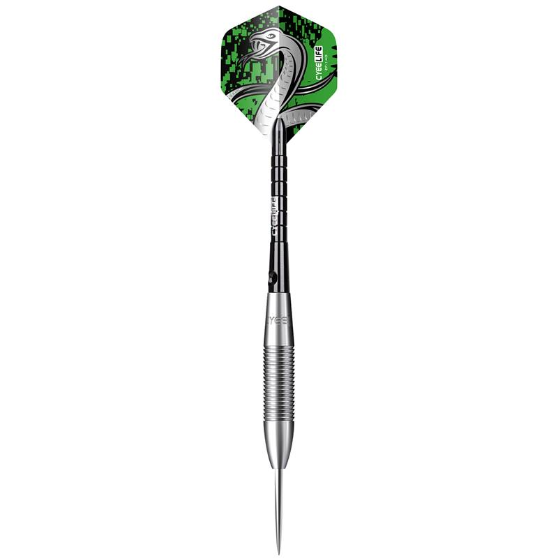 Cyeelife 90%hard tungsten steel 23g dart steel needle professional competition metal adult flying label set
