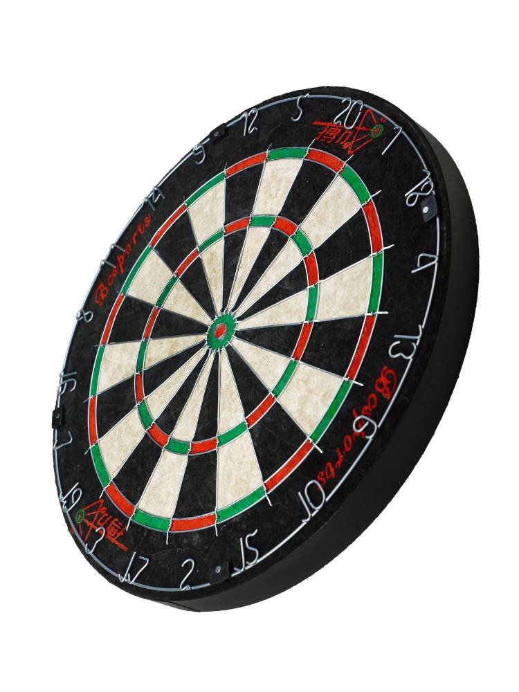 Bad into BCSPORTS round net target Qiong Mafei Dart professional competition sports dart disk home