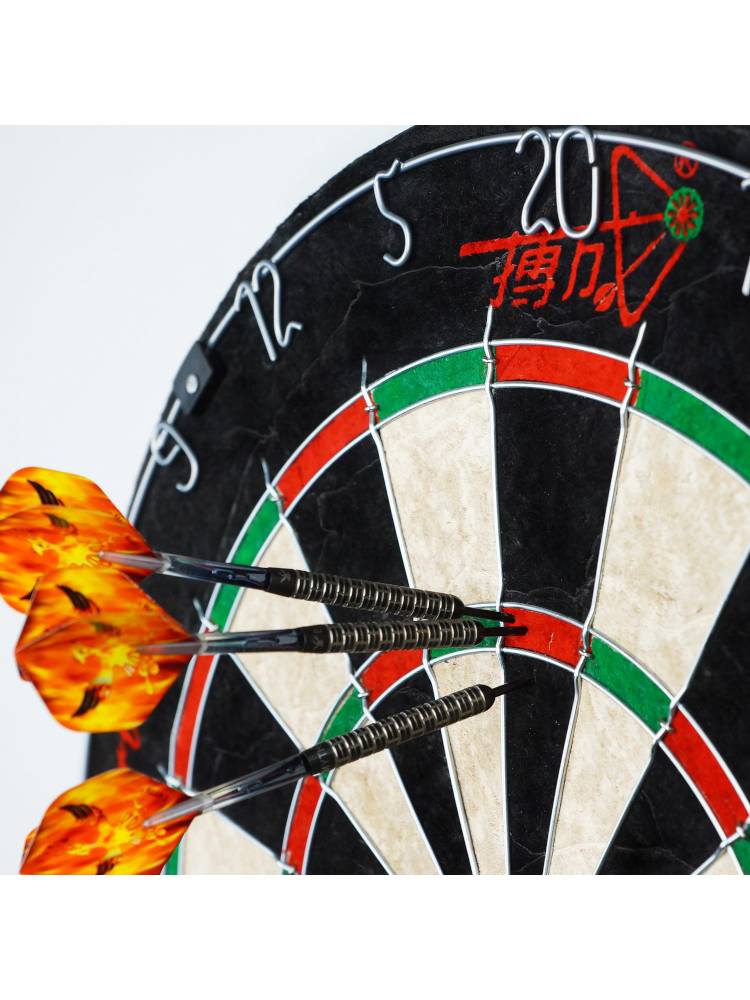 Bad into BCSPORTS round net target Qiong Mafei Dart professional competition sports dart disk home