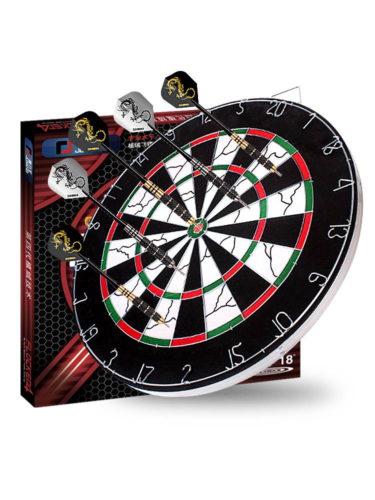 The Darts of Flying Darts set up in the interior of the house with a professional competition standard adult entertainment target