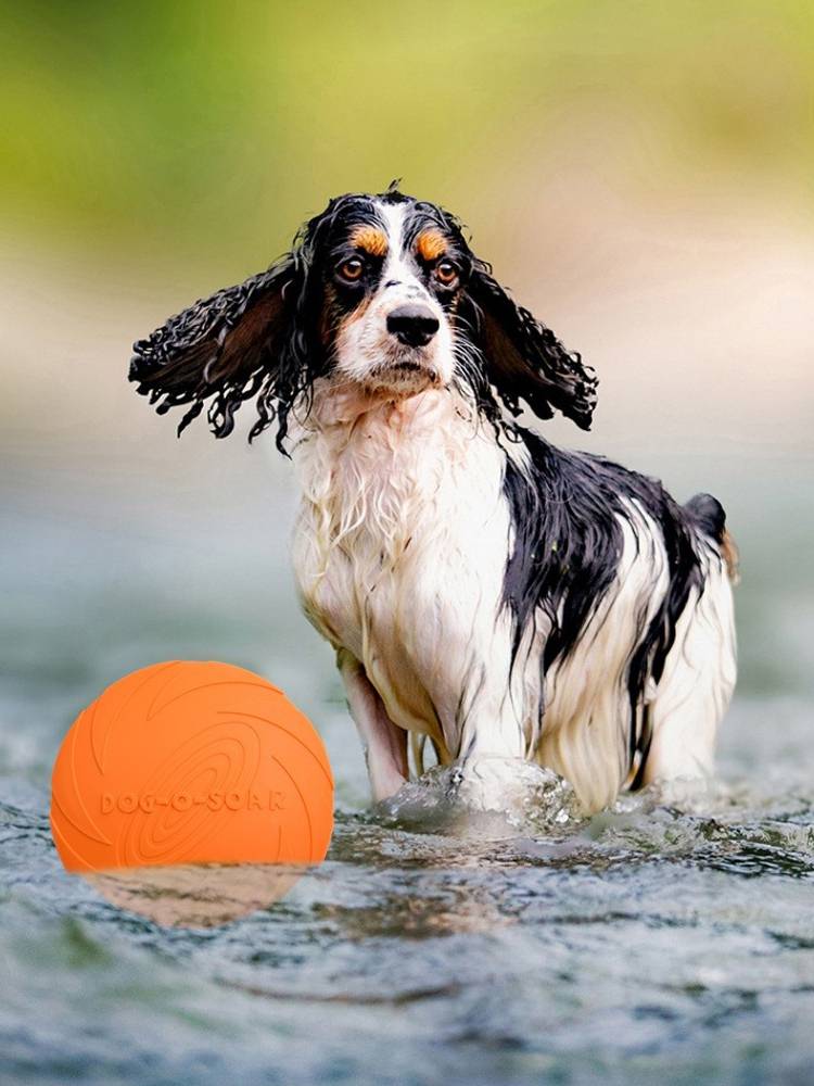 Dog Flying Dard toy Pet Dog Dog Special Feed Bite Soft Platform Flying Poor Training Interactive Pet Products