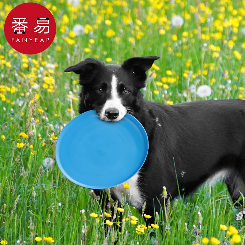 V flying tray/pet-flying plate dog toy toy, bite training outdoor interactive edge golden hairy teddy ring