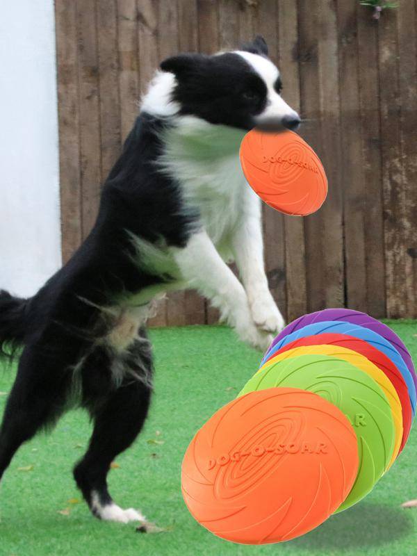 Pet flying disk dog toy toy and biting flying tray can be trained to throw flying saucer pet supplies