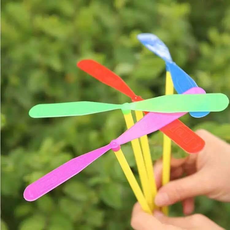 The colored dragonfly is random