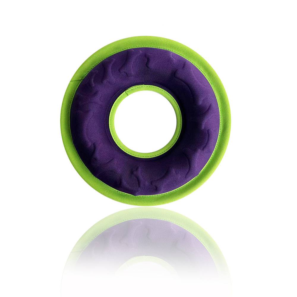 Purple Green Flyer