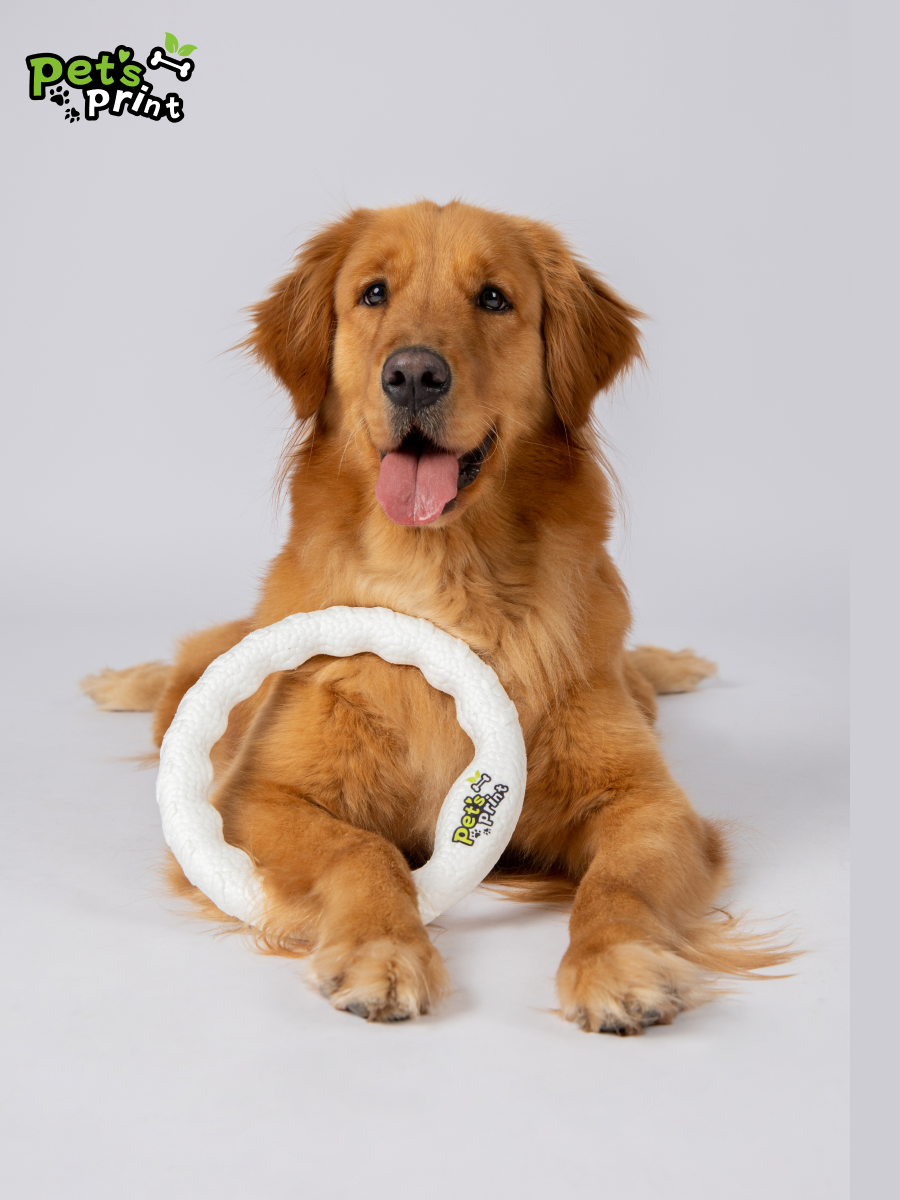 PETSPRINT Dog toy Flying Dog Dog Dive Flying Drive Bite Golden Mao Bian Pet Pet Dog Training Dog Training Flying Ring