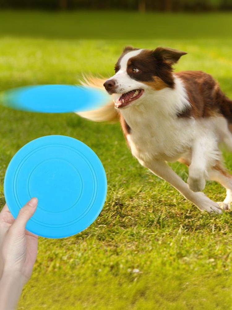 Dog Flying Pack Pet Flying Dog Dog Silicon Plastic Puttering Poisoned Outdoor Follow Water Follow Training Sports Throw Toys