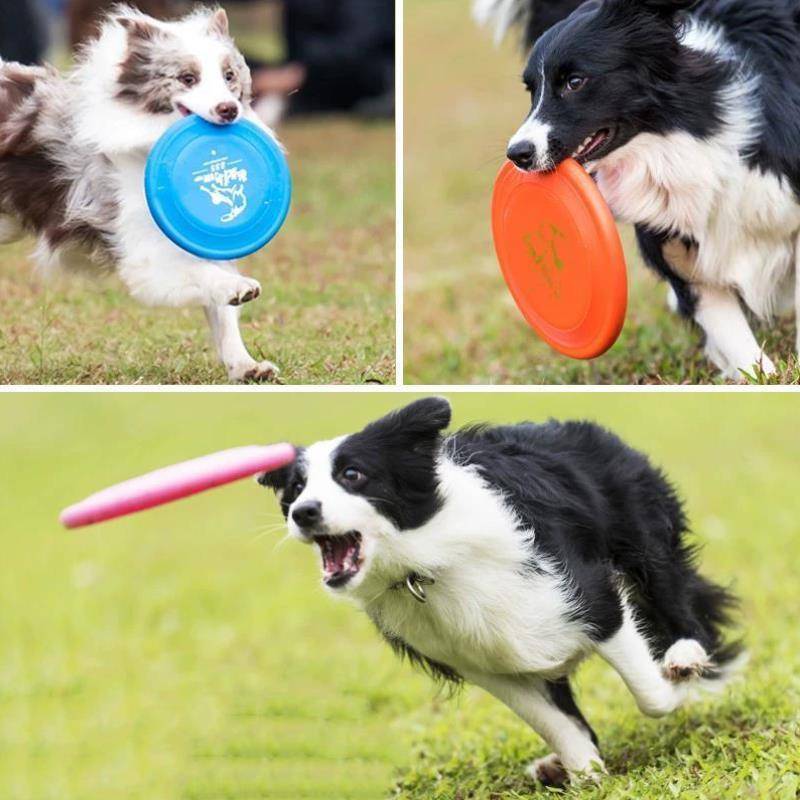 The Flying Dog's Flying Disk, a star-resistant toy with gold mullahs, a flying saucer