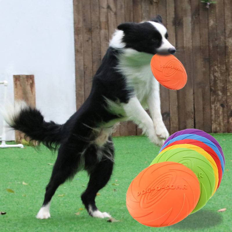 DOG-O-Soar Dog Flying Pet Pet Flying Dard toy Dog Bite Flying Plate Training Pet Products
