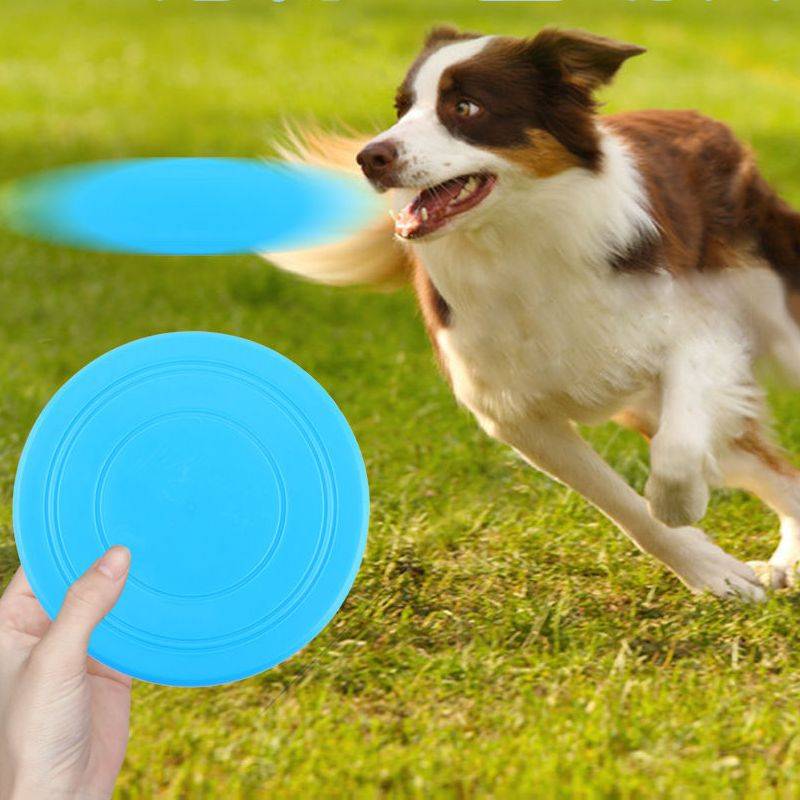 Dog Flying Dog Dog Dog Pets Pet Toy Silicon Plastic Bite Puppy Flying Disk Training Sports Throw Toys