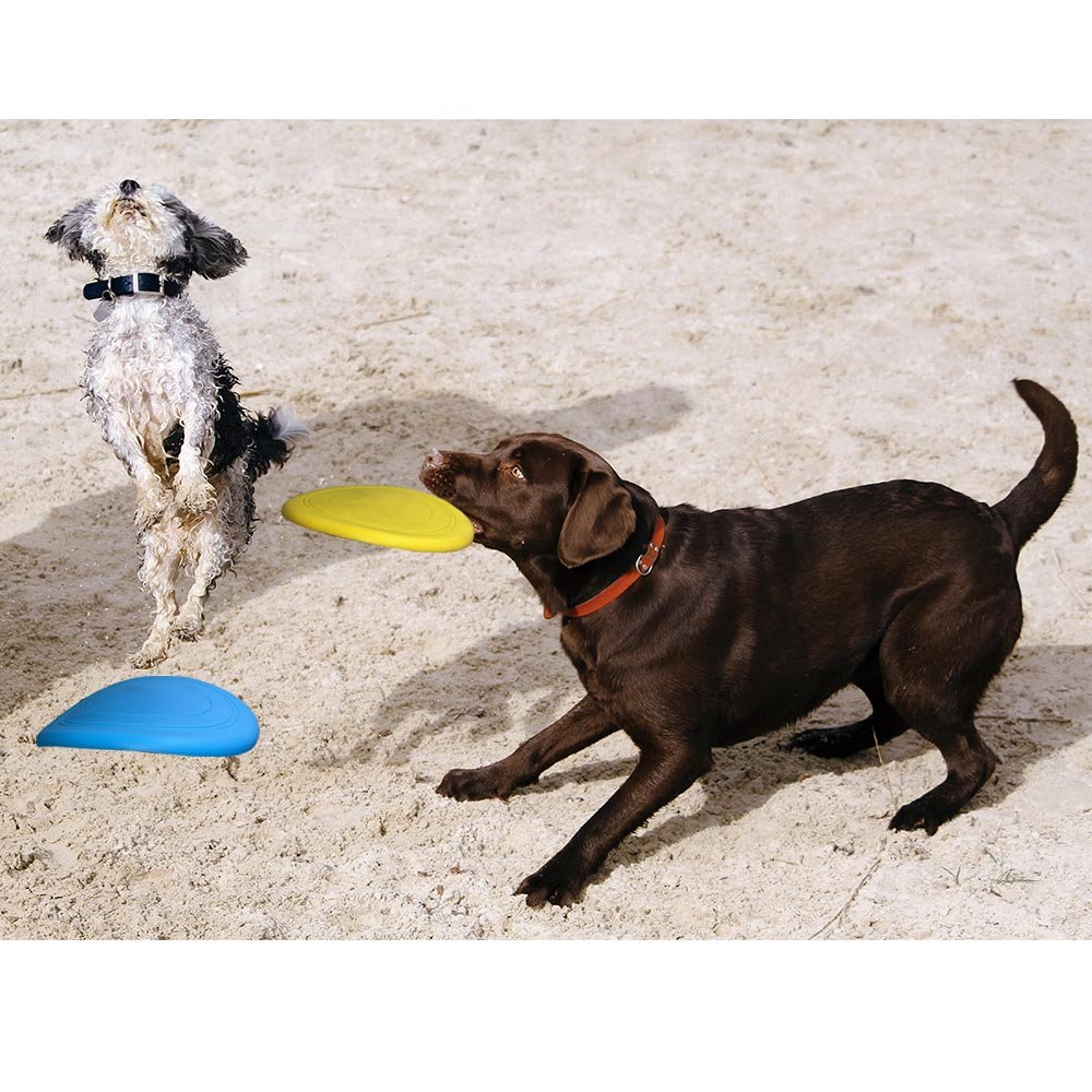 Soft Frisbee Toys For Dogs Pet Training Flying Disc.