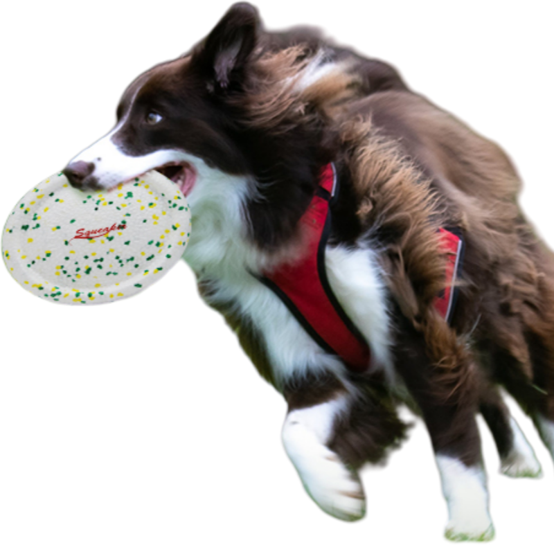 Manufacturer wholesale High Quality Chew ETPU Flying Discs Frisbeed Flying Saucer Pet Dog Toys