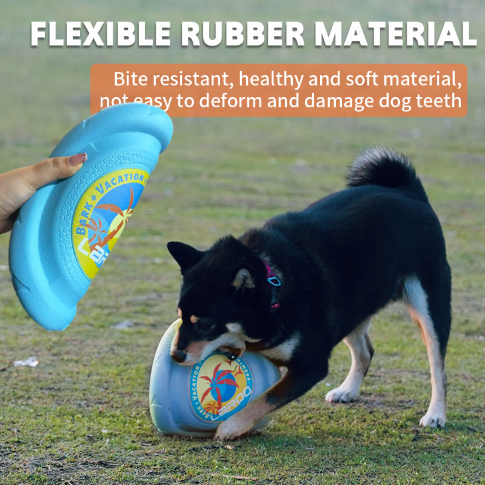 Durable Dog Toy Frisbee High-Flying Safe Material Ideal for Outdoor Play Training Fetch Games Bright Colors Lightweight Portable
