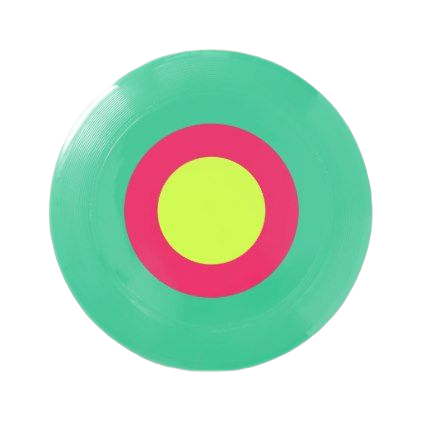 Custom Made Plastic Injection Mould for Frisbee and Pet Dog Toy High Quality Plastic Products