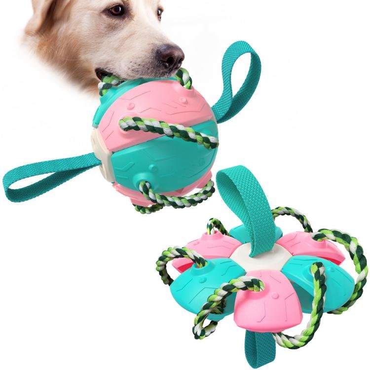 Best Sellers Pet Toy Dog Walking Frisbeed Toy