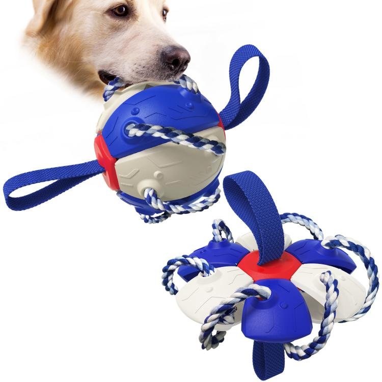 Best Sellers Pet Toy Dog Walking Frisbeed Toy