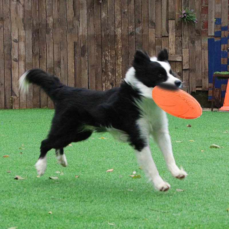 Chewing resistant flyer rubber training flying disc pet teeth cleaning dog fetch toy