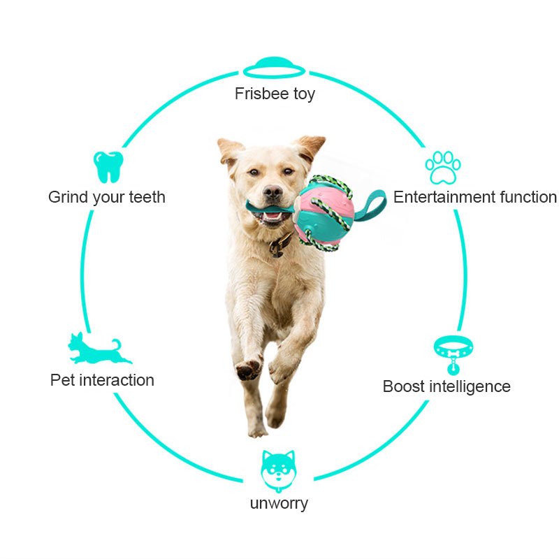 Pet supplies factory wholesale outdoor dog toys aggressive chewers pet training football frisbeed toys Flying Disc Toy