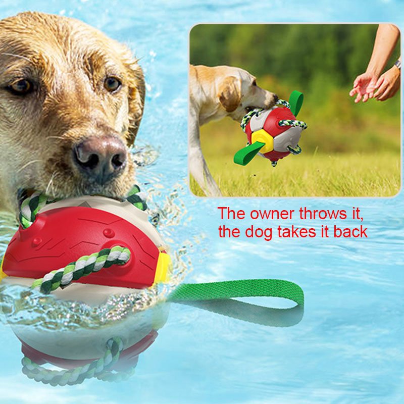 Pet supplies factory wholesale outdoor dog toys aggressive chewers pet training football frisbeed toys Flying Disc Toy