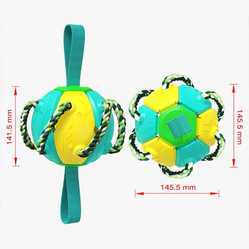 Pet supplies factory wholesale outdoor dog toys aggressive chewers pet training football frisbeed toys Flying Disc Toy
