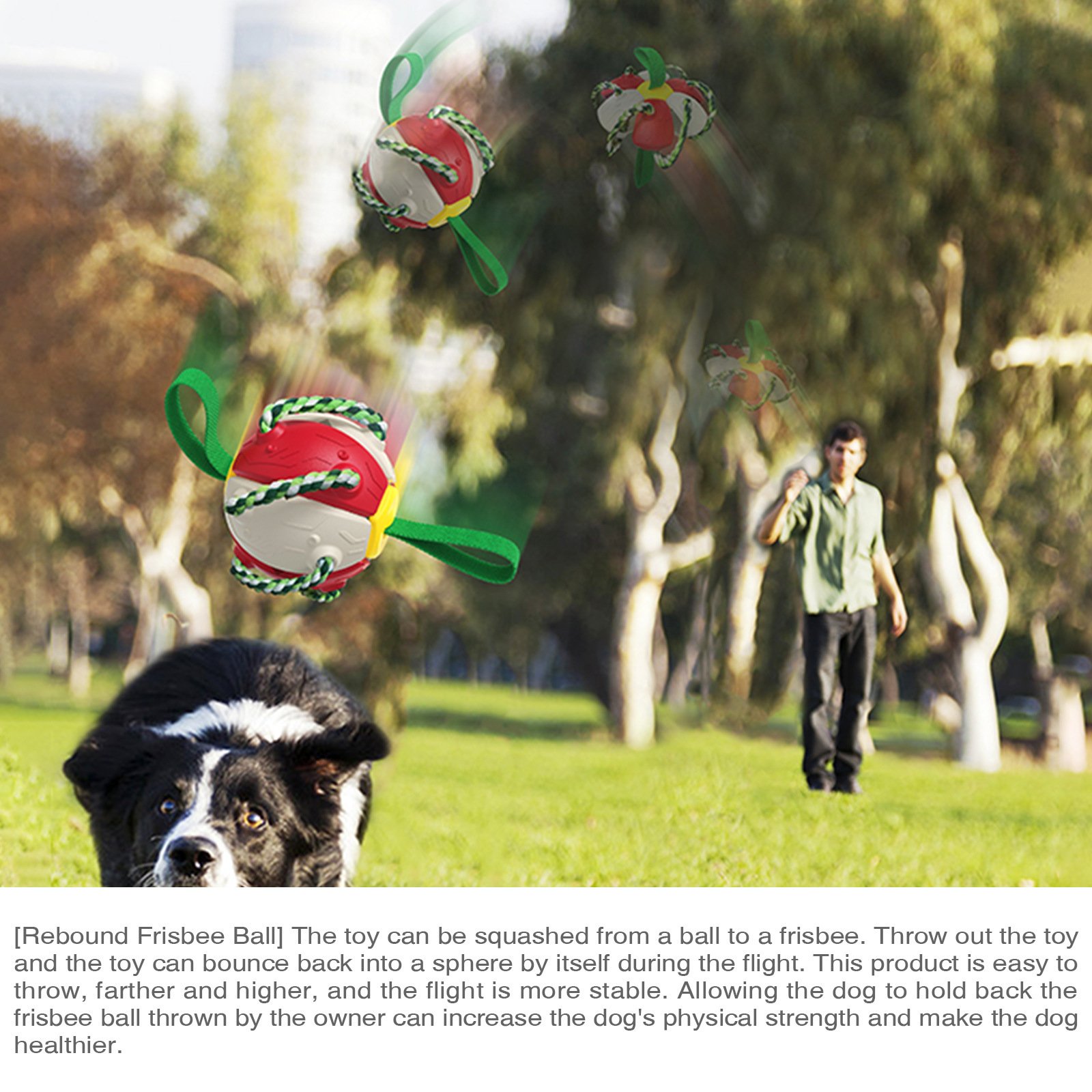 Hot Dog Training Toys Outdoor Interactive flying disk Football Bouncing Flying Saucer Massage Clean Teeth Dog Chew Toy