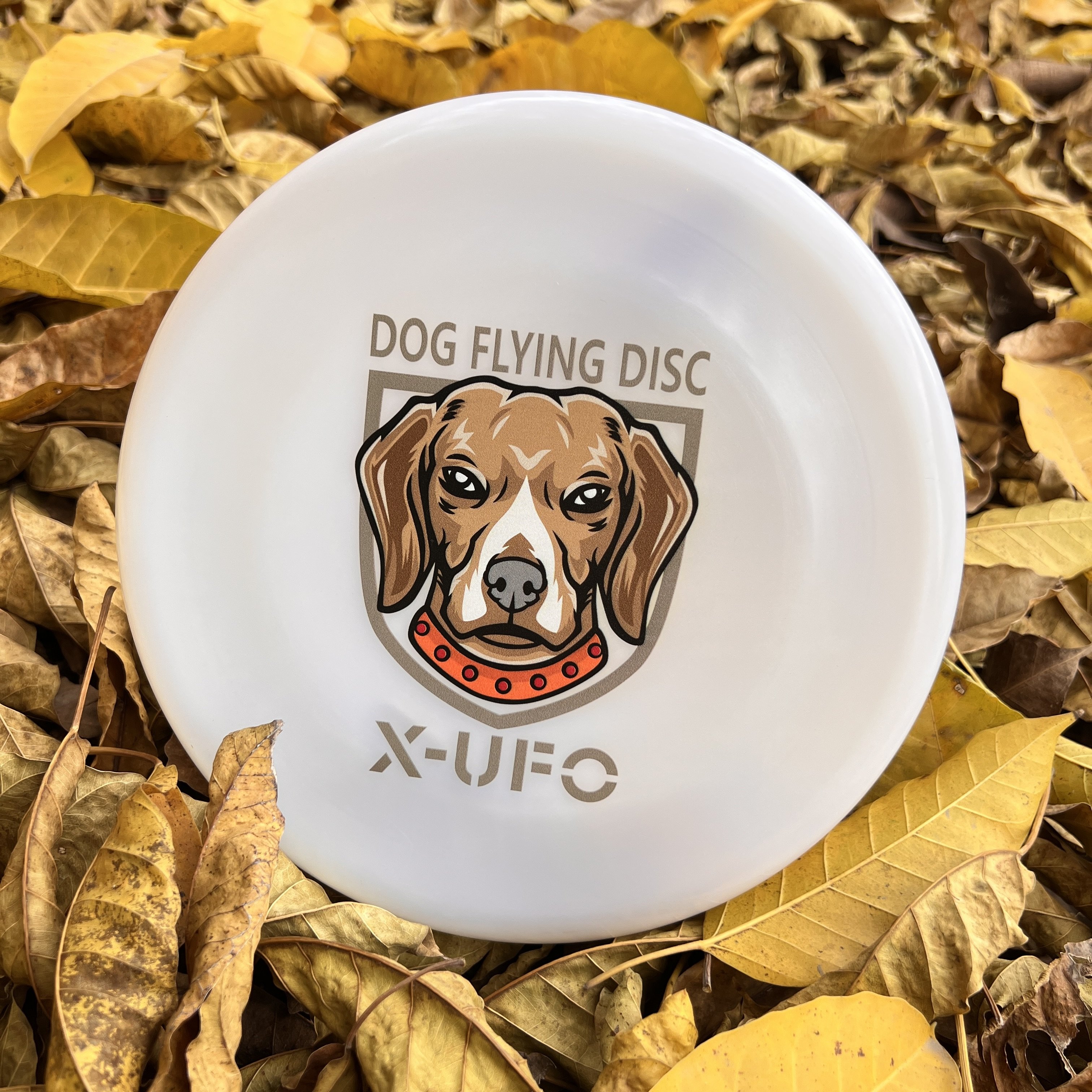 Factory custom Dog Toys Outdoor Dog Flying Discs Training Toys Soft Silicone Dog Frisbee
