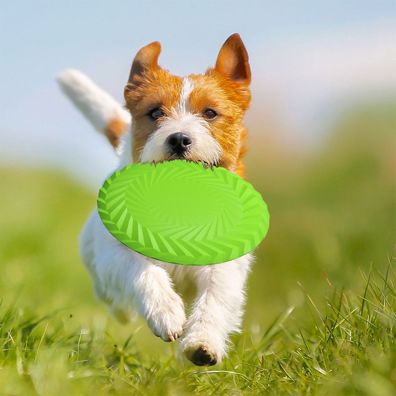 Fashion Pet Silicone Training Dog Frisbeed Toy Interactive Dog Chew Toys Resistance Bite Soft Rubber Toys Pet Flying Discs 18cm