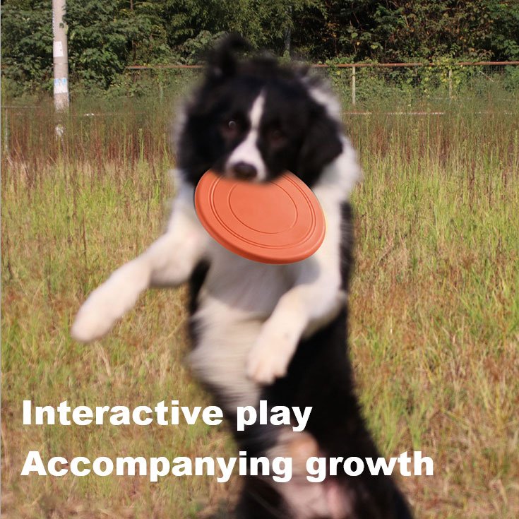 Dog Frisbeed Aerodynamic Disc dog toy Lightweight Floatable Frisbeed for dog training