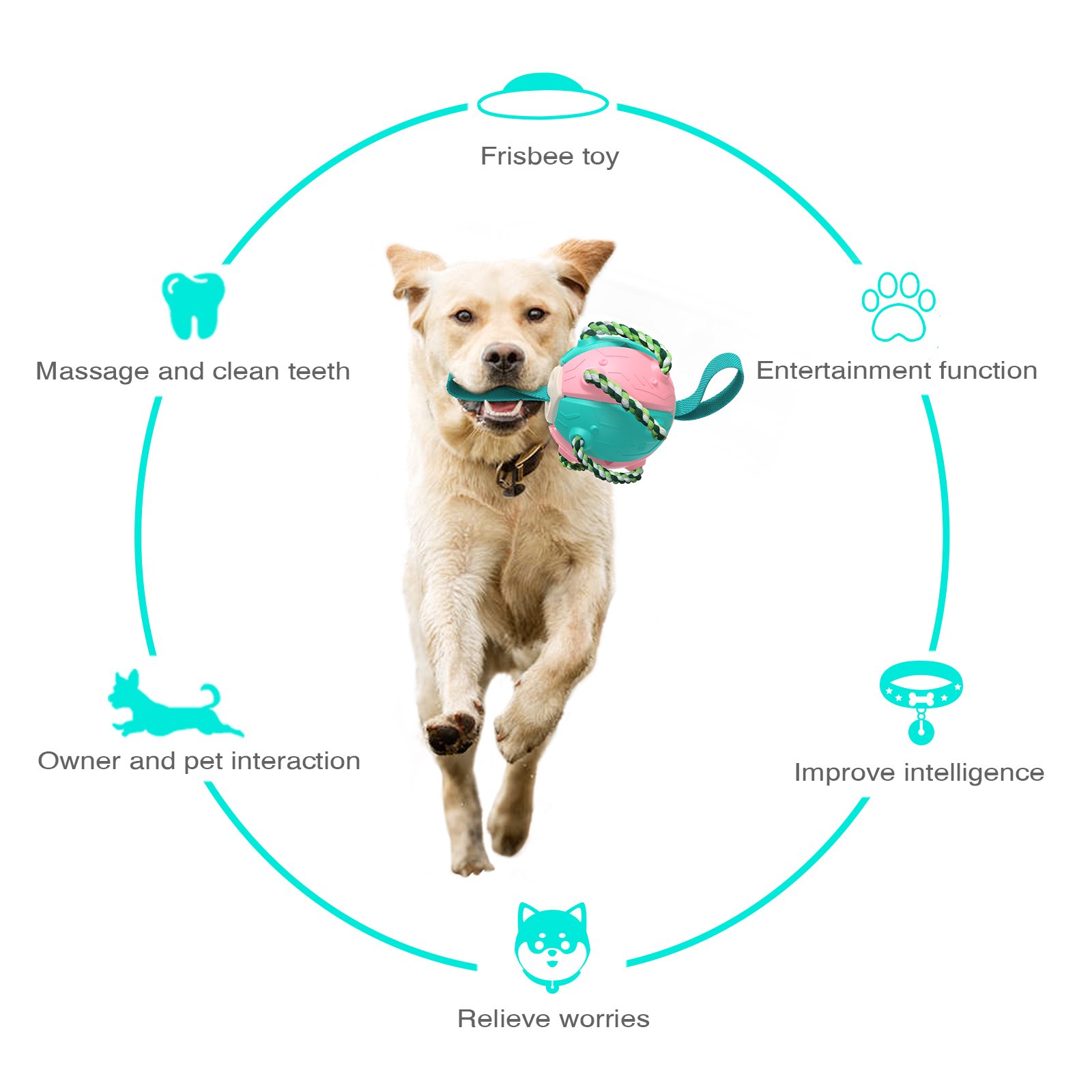 Pet Frisbeed Dog Chew Ball Toys for Aggressive Chewers Interactive Flying Disc Exercise Toys Rebound Frisbeed Balls