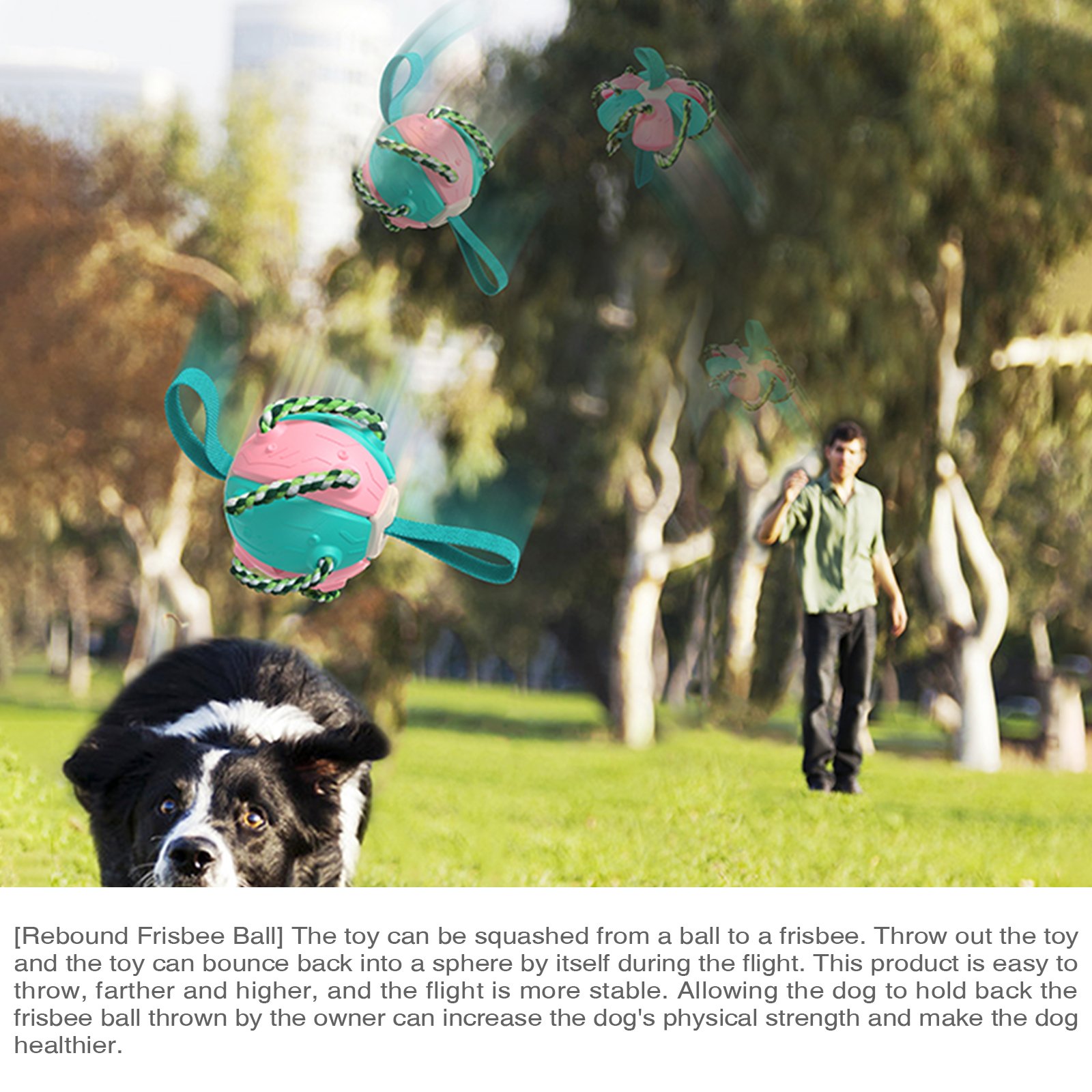 Pet Frisbeed Dog Chew Ball Toys for Aggressive Chewers Interactive Flying Disc Exercise Toys Rebound Frisbeed Balls