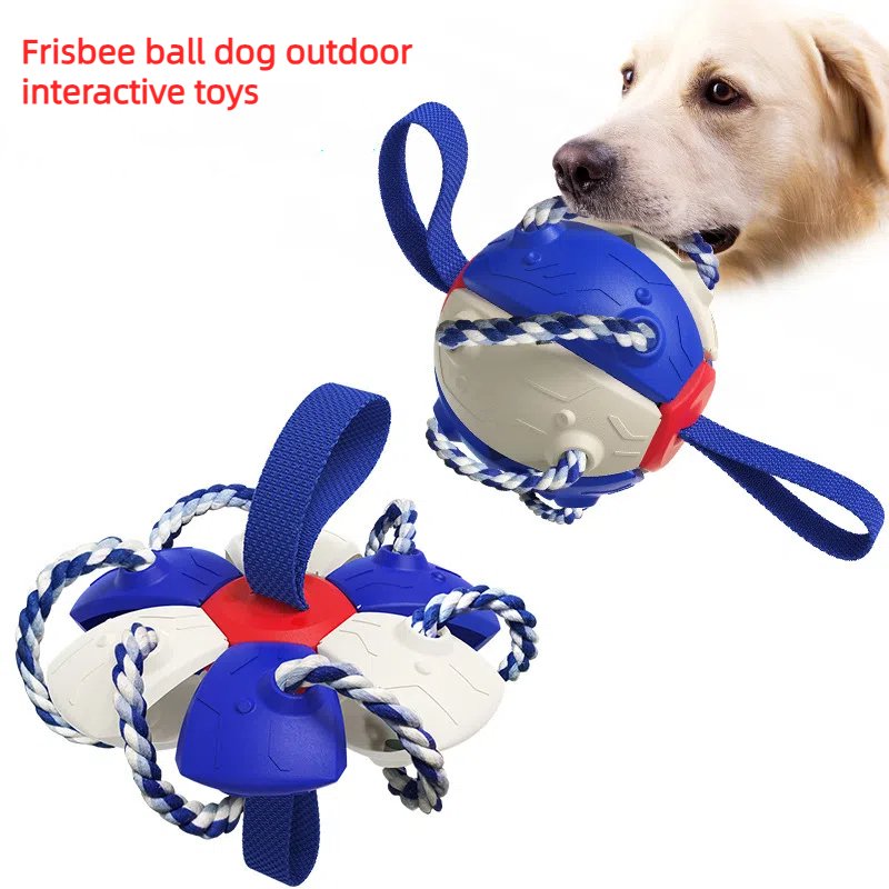Factory Home New Interactive Flying Disc Explosive Models Outdoor Training Tunnel for Frisbee Football and Dog Toys