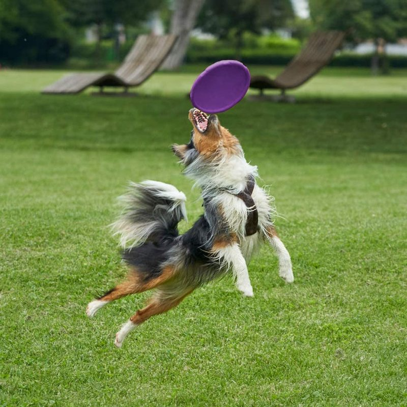 Customized Durable Soft Non-Slip Dog Flying Disc TPR Game Frisbeed Pet Bite Resistant Frisbeed Outdoor Training Dog Toys