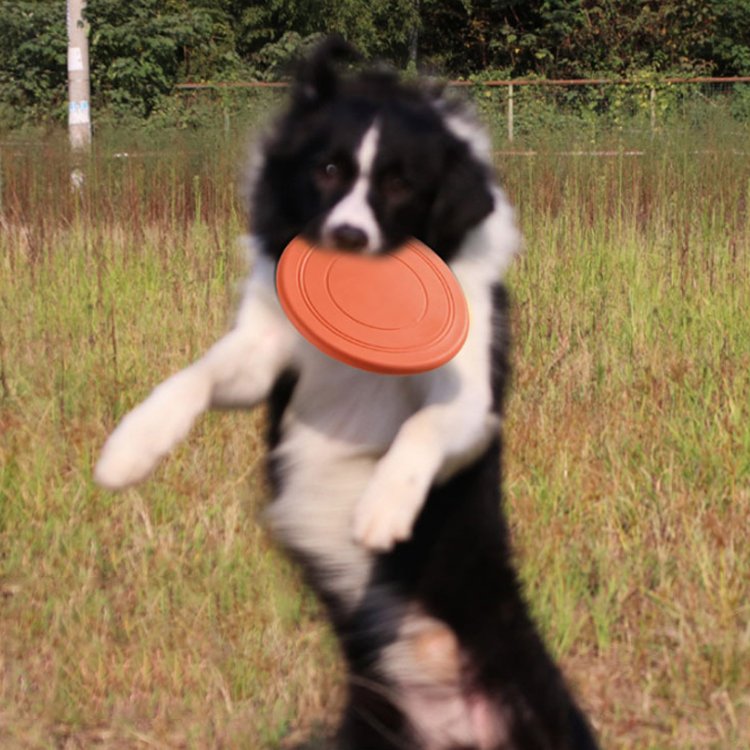 Available In A Variety Of Colors Bite resistant Non slip Dog Frisbeed Interactive Dog Toy