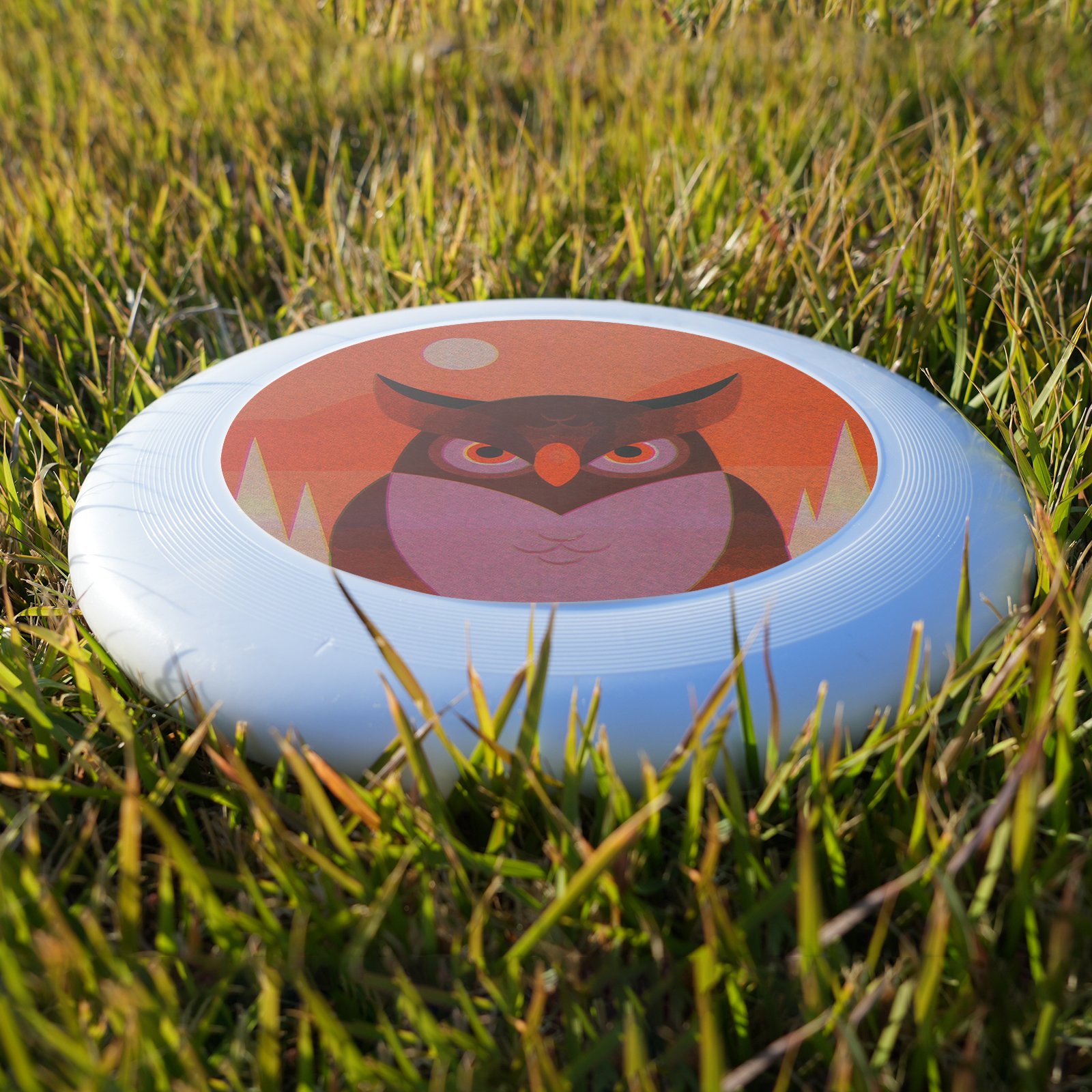 frisbee dog led frisbee undestructable frisbee flying disc ultimate flying plate
