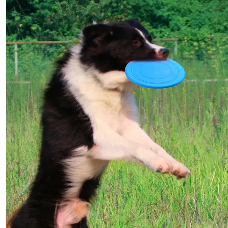 Soft Non-Slip Dog Supplies Silicone Game Frisbeed Anti-Chew Dog Toy Pet Puppy Training