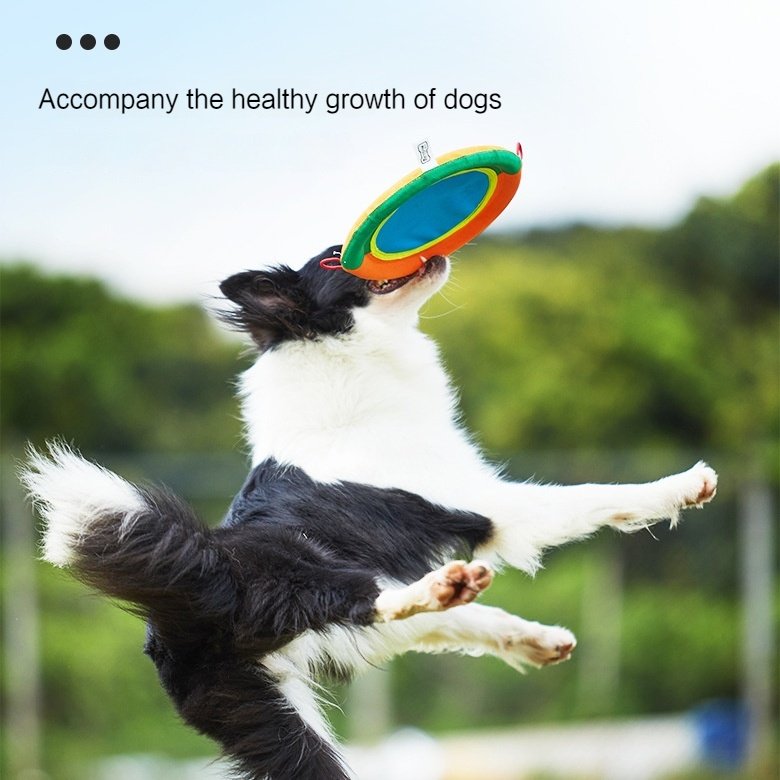 Wholesale custom pet throwing training grinding teeth durable cloth material floating light outdoor dog toys pet toys