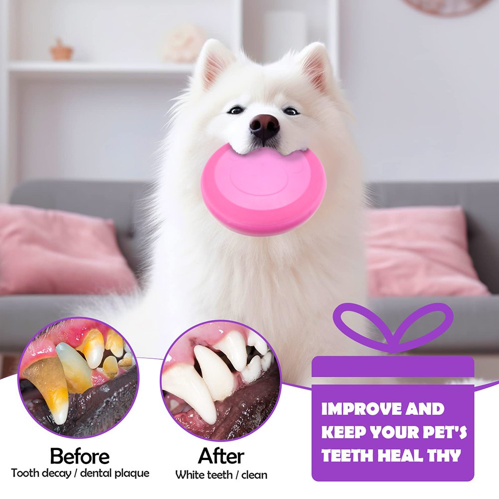 Customized Logo Pet Interactive & Movement Toys Training Flying Disc Interactive Pet Dog Toys