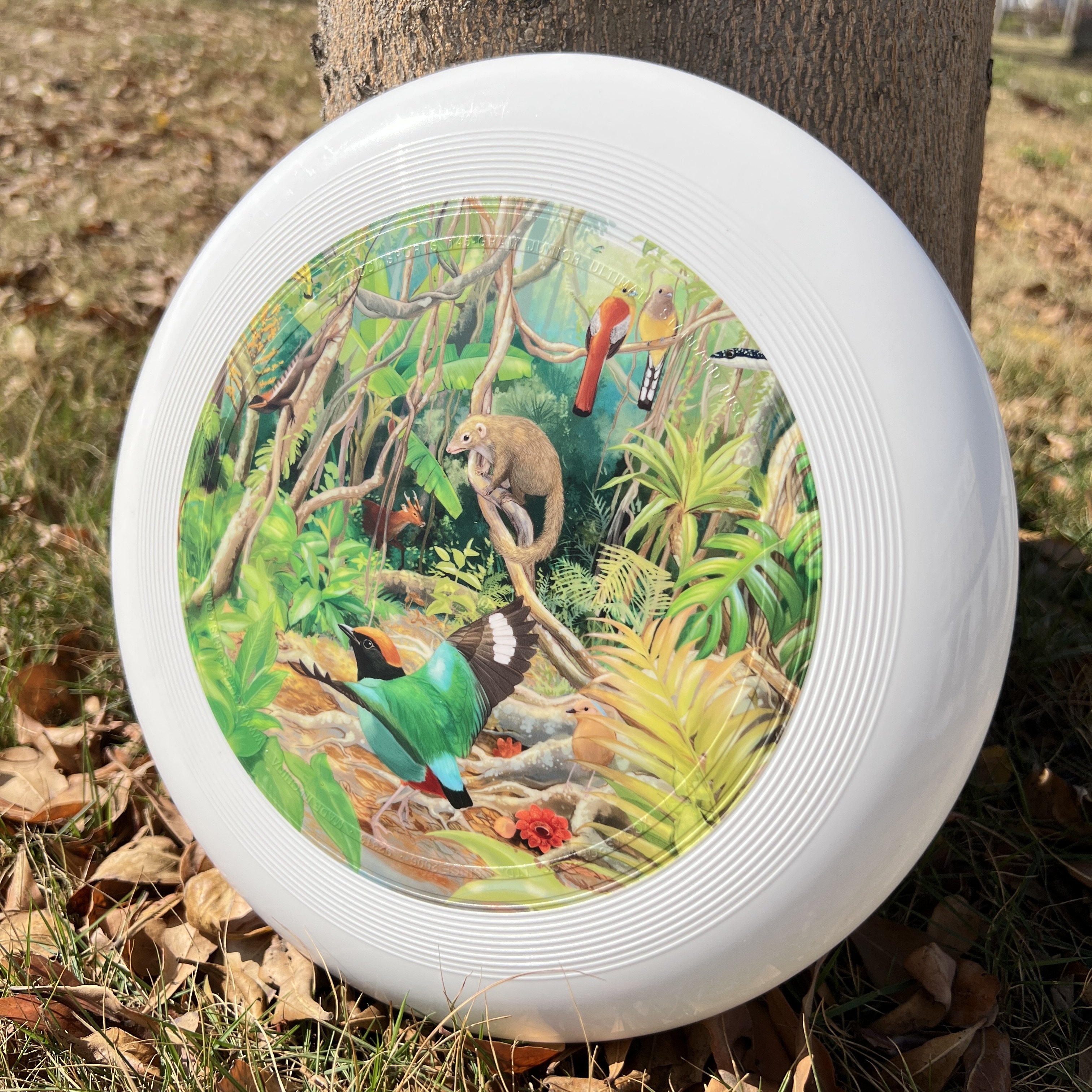 Factory Direct Professional 110 Grams TPE Custom Discs 23cm Fly Discs Outdoor Youth Frisbee Games Beach Sports Toys Flying Discs