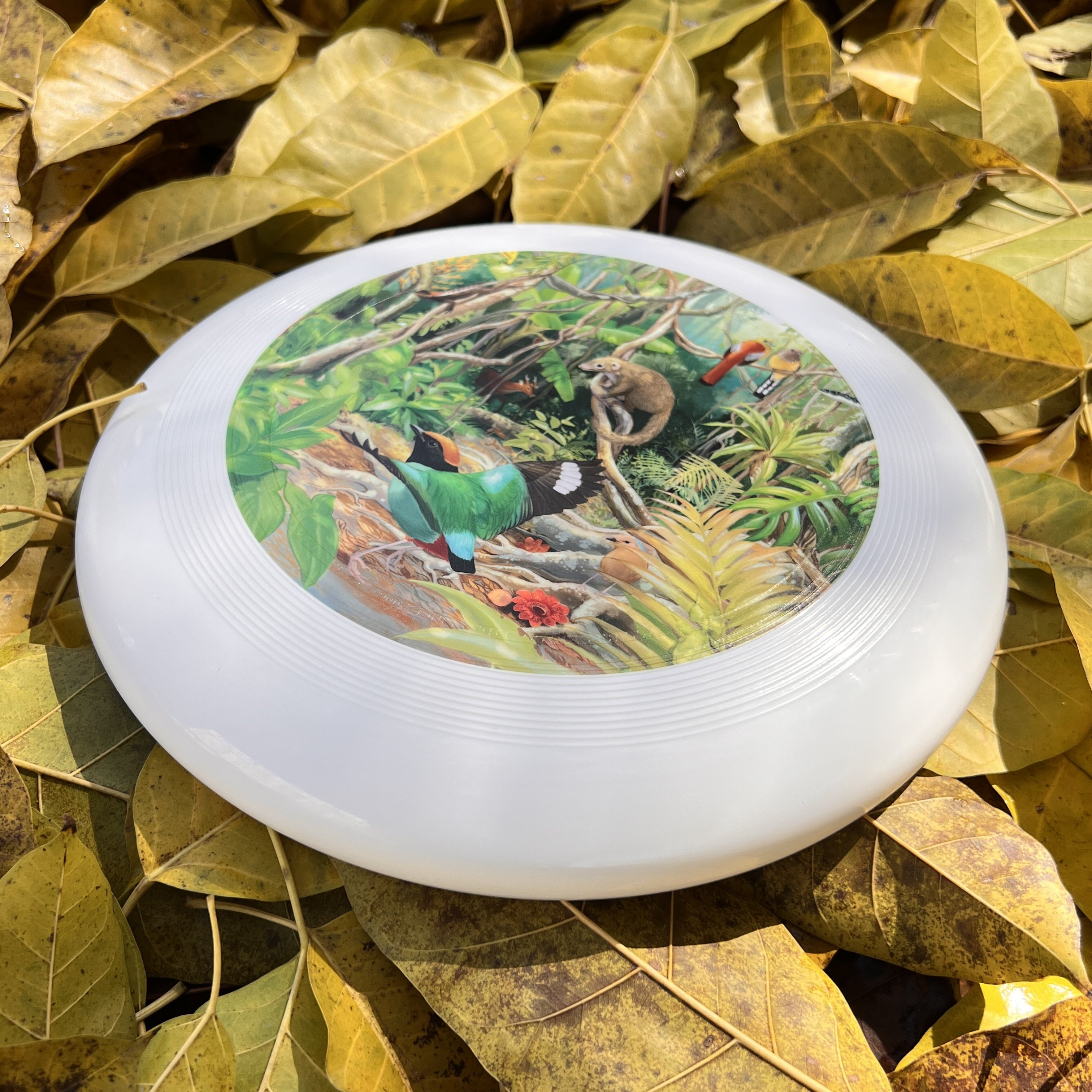Factory Direct Professional 110 Grams TPE Custom Discs 23cm Fly Discs Outdoor Youth Frisbee Games Beach Sports Toys Flying Discs