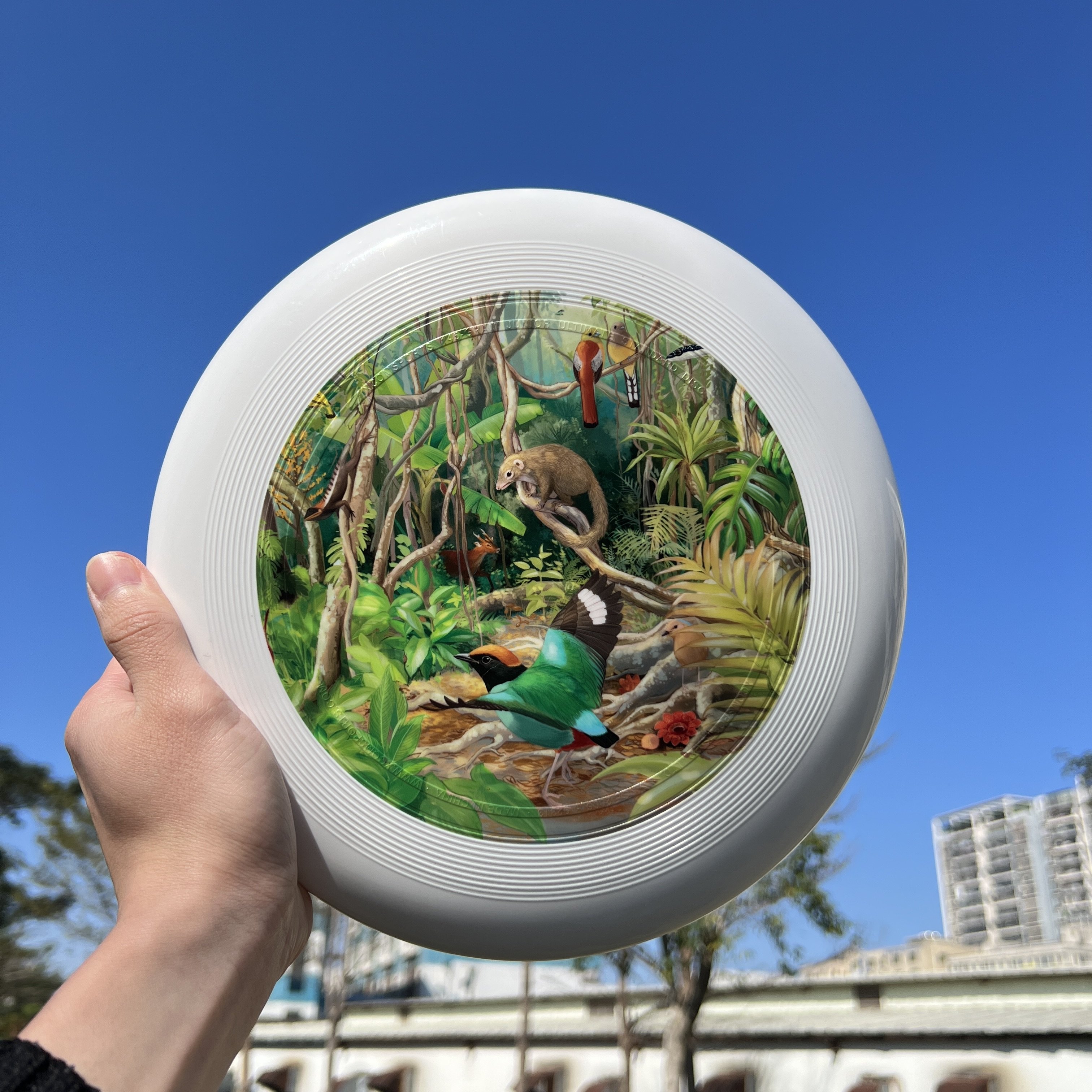Factory Direct Professional 110 Grams TPE Custom Discs 23cm Fly Discs Outdoor Youth Frisbee Games Beach Sports Toys Flying Discs