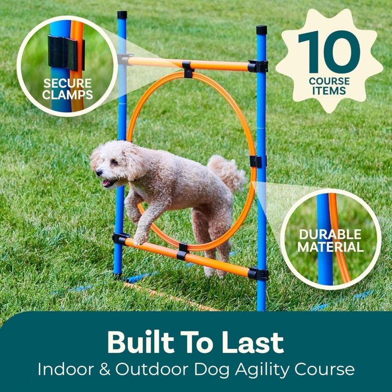 Pet Obstacle Course Backyard Tunnel Dog Agility Training Equipment for Dogs Outdoor