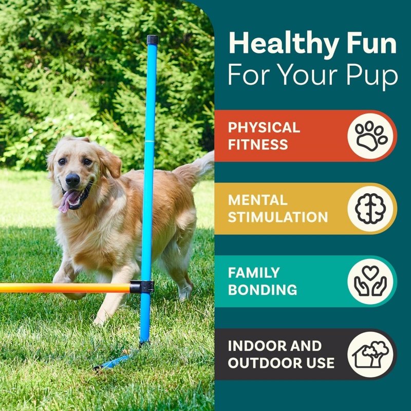 Pet Obstacle Course Backyard Tunnel Dog Agility Training Equipment for Dogs Outdoor