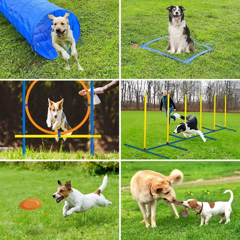 Pet Obstacle Course Backyard Tunnel Dog Agility Training Equipment for Dogs Outdoor