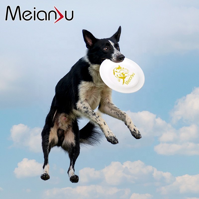 Pet Frisbee dog training tray Outdoor dog training Frisbee pet relief toy pet toy