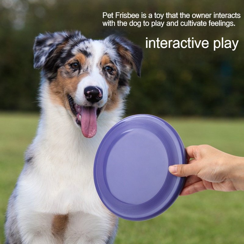 Custom wholesale pet toys Bite Resistant Soft Frisbee Training Dog Frisbee Outdoor sports 11 20 23cm interactive dog toys
