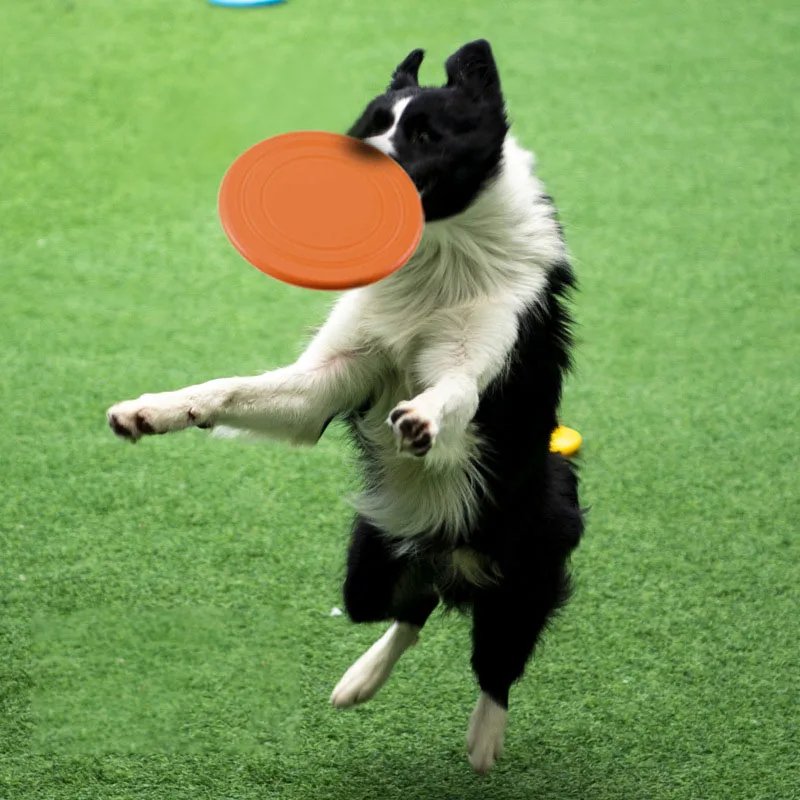 Non-slip Resistant Chew Floatable Silicone Pet Frisbeed Puppy Flying Discs for Dog Training Interactive