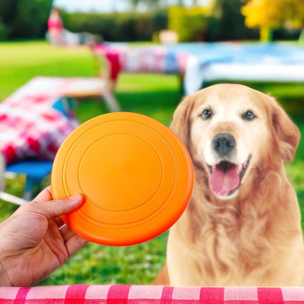 Hot Selling Silicone Rubber Frisbee Pet Teething Toy for Outdoor Sports